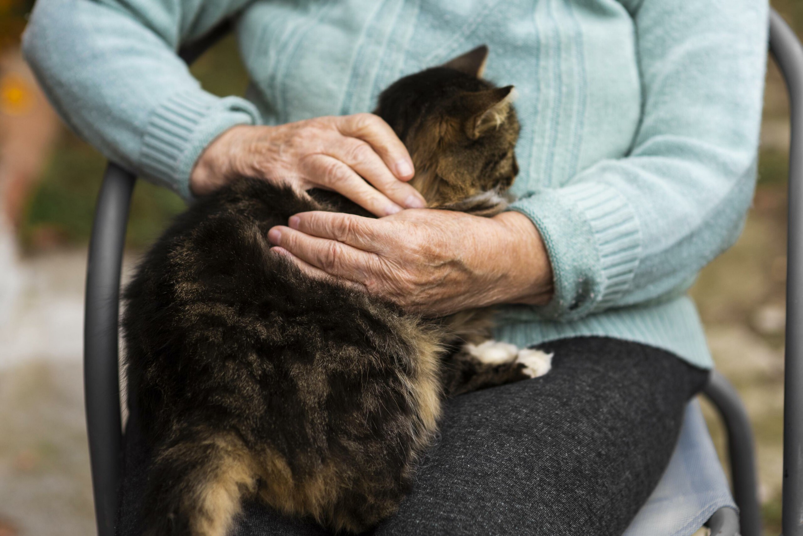 Senior woman petting a cat that sits on her lap to illustrate Pet Peace of Mind How A Nonprofit Helps Pets and Their People