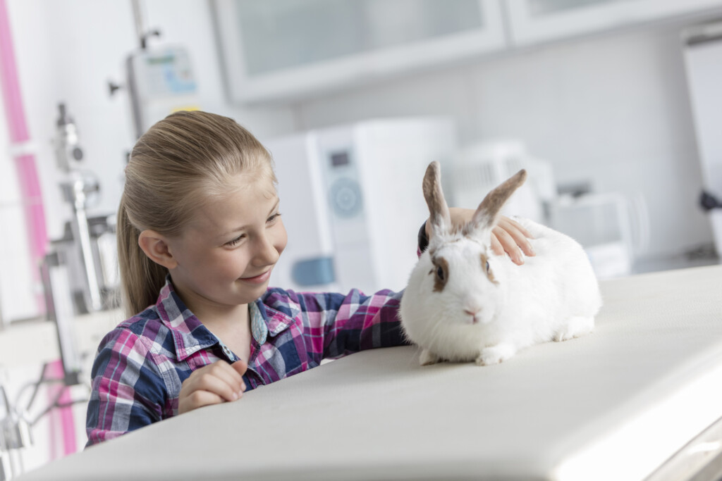 Smiling cute girl looking at rabbit on bed at veterinary clinic to illustrate Veterinary medicine needs to embrace new, better ways